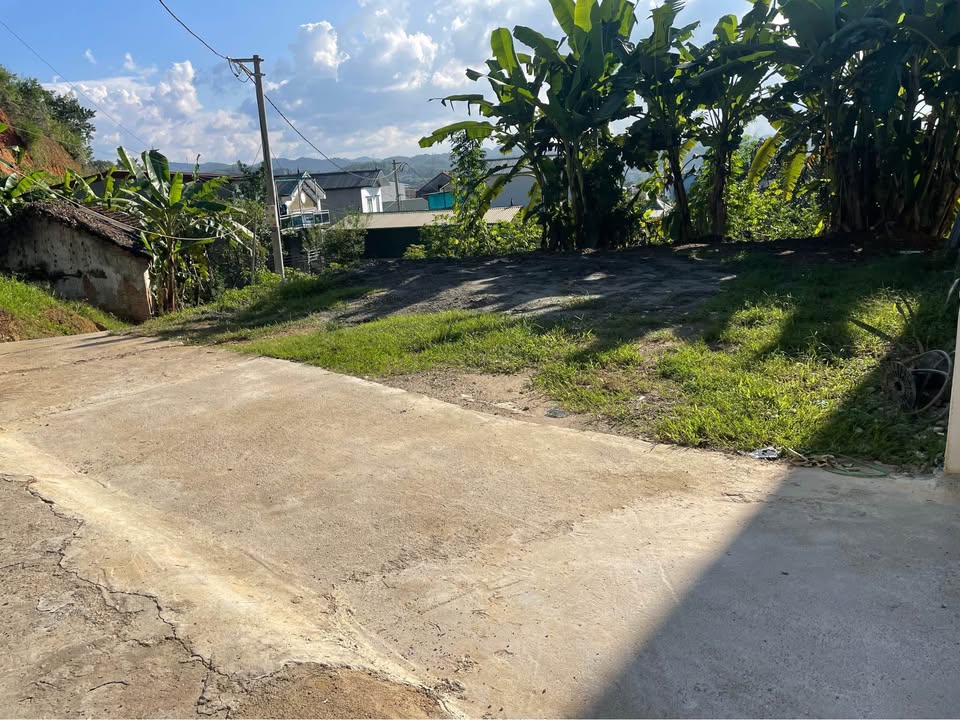 Bán đất Ngọc Xuân 194m² giá 1.3 tỷ - Khu dân cư đông đúc, an ninh tốt!