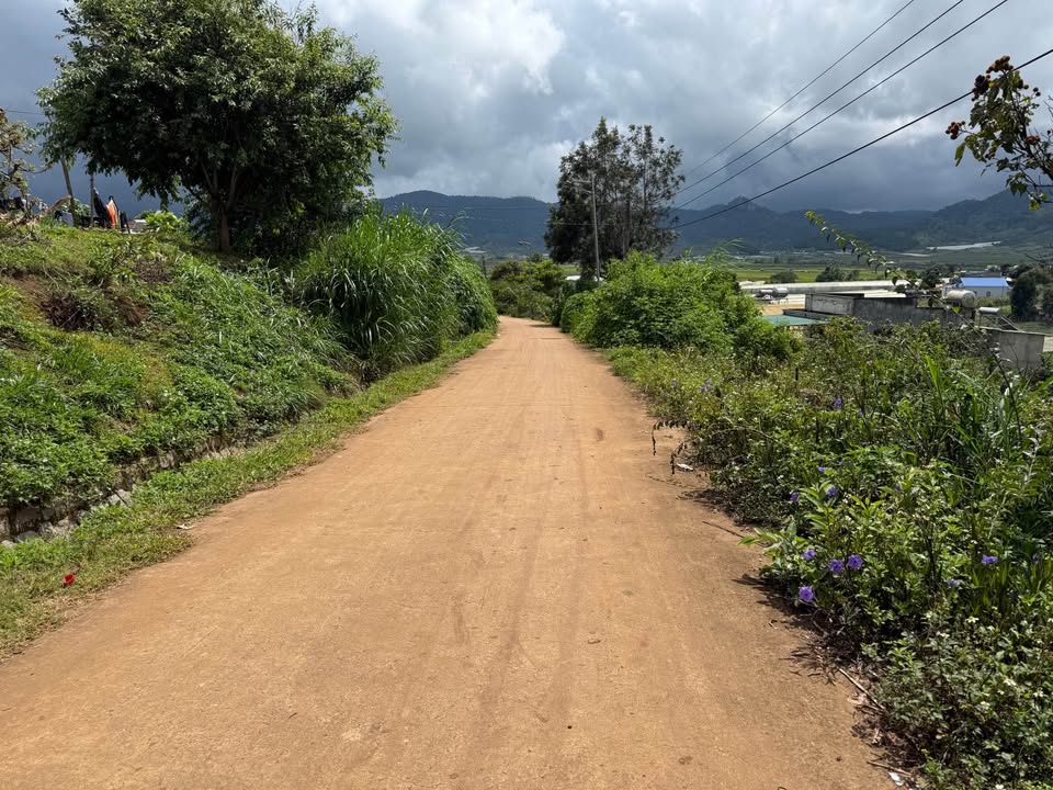 Đất thổ cư Quảng Lập, Đơn Dương 300m² giá 610 triệu - Không khí trong lành, cơ hội đầu tư hấp dẫn!