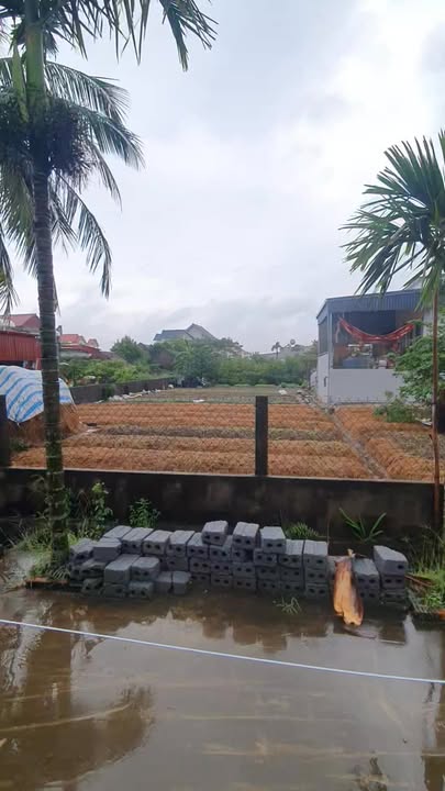 Đất thổ cư Nam Điền 280m² giá 1.8 tỷ - Vị trí đắc địa gần KCN