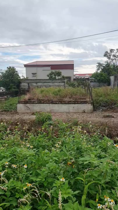 Bán lô đất Nghĩa Lâm 90m² giá 1.95 tỷ - Địa điểm vàng cho đầu tư!