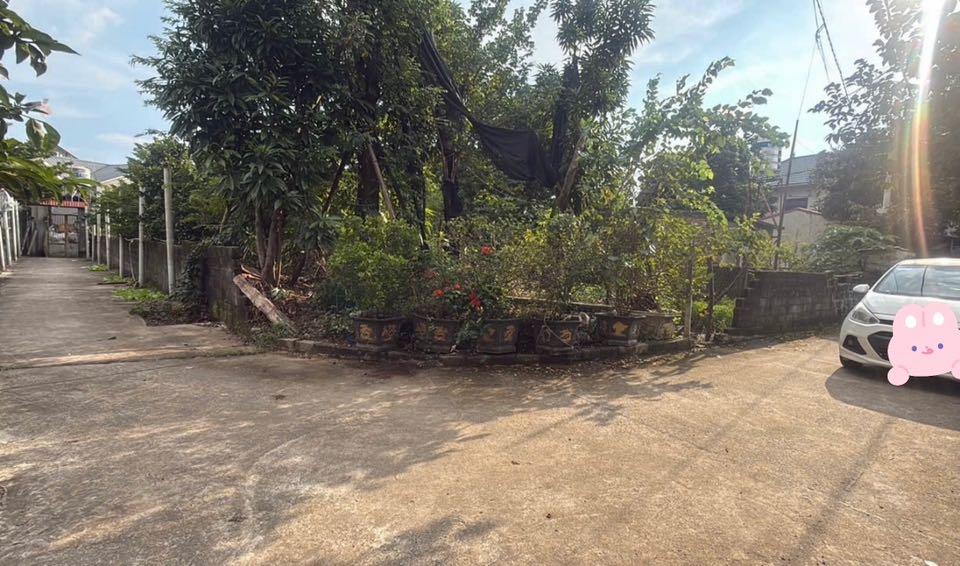 Đất lô góc Trạch Mỹ Lộc, Phúc Thọ 62m² giá 1 tỷ - Ô tô vào tận đất!