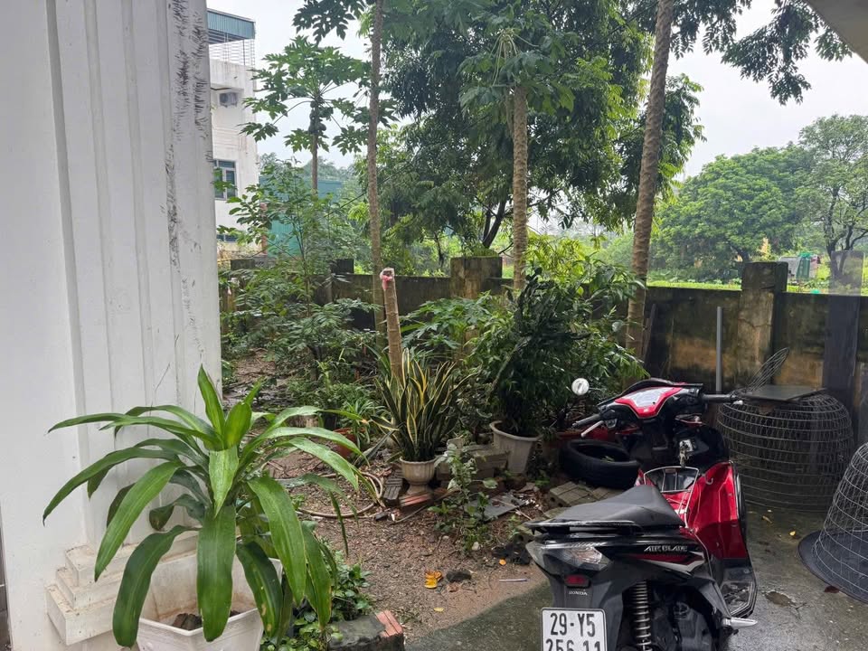 Đất Xóm 3 Văn Trai 70m² giá chỉ 5.74 tỷ - Bán gấp, vị trí đắc địa!