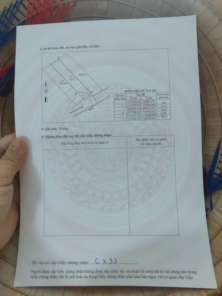 Đất Cẩm Thịnh 113m² giá 700 triệu - Đầu tư sinh lời ngay!