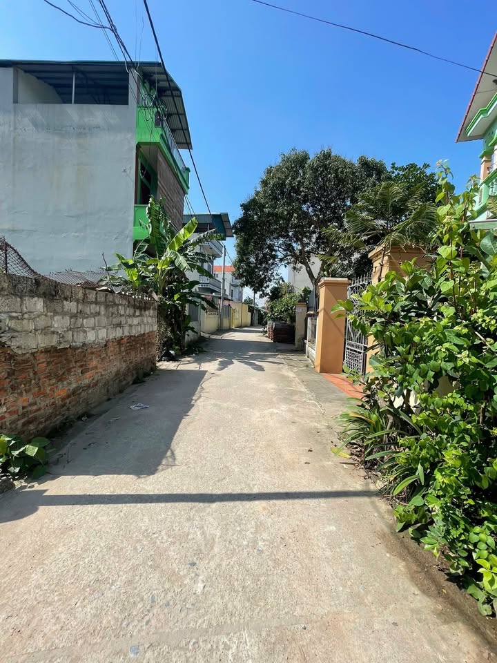 Đất nền tại TDP Phúc Xá, Mỹ Hào, 130.3m² giá chỉ 4.039 tỷ - Đầu tư sinh lời ngay!