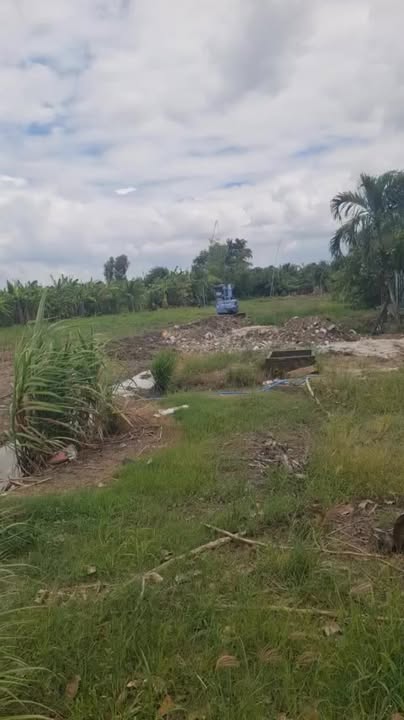 Đất vườn 500m² Cần Giuộc giá 1.35 tỷ - Chính chủ bán gấp!