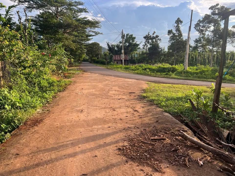 Đất nền Ea Kao Buôn Ma Thuột 1080m² giá 3 tỷ - Mặt tiền đường 19/5 thuận lợi!