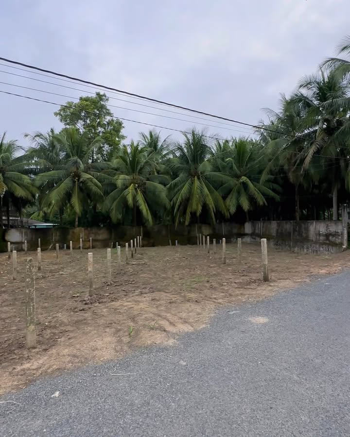 Đất nền xã Hòa Định, Chợ Gạo, Tiền Giang 156m² giá chỉ 390 triệu - Sổ đỏ chính chủ!