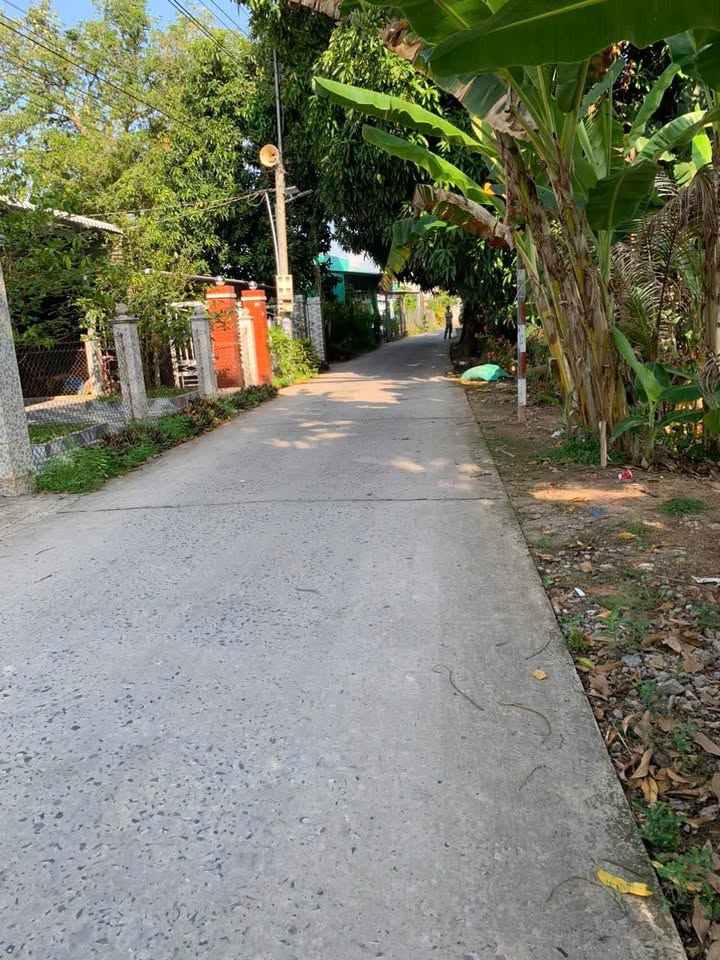 Nhà cấp 4 Định Yên, Lấp Vò 115m² giá 560 triệu - Cơ hội đầu tư tuyệt vời!