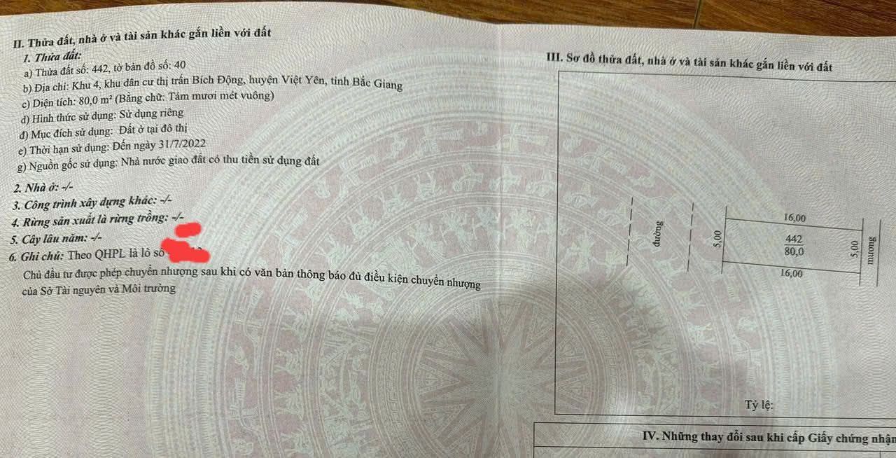 Đất nền Bích Động, Việt Yên 80m² - Đầu tư sinh lời ngay!