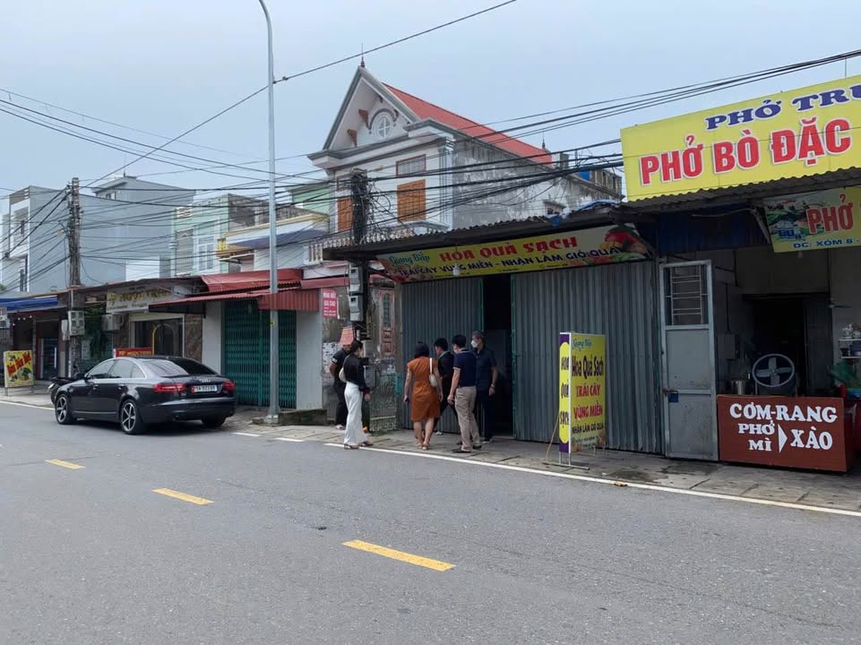 Đất mặt đường 203 Hoa Động, Thủy Nguyên 100m² - Đầu tư siêu mềm!