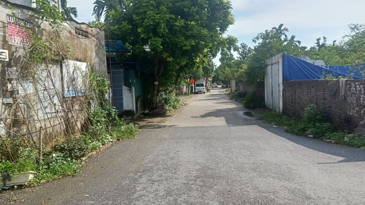 Đất nền Kim Chung Đông Anh 50m² giá 4 tỷ - Tiềm năng tăng giá mạnh!