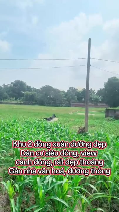 Đất nền Đồng Xuân 126m² giá 600 triệu - Vị trí dân cư đông đúc!