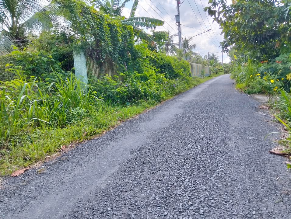 Bán đất mặt tiền đường Huyện 90D, xã Mỹ Phong, 180m² - Tiềm năng sinh lời cao!