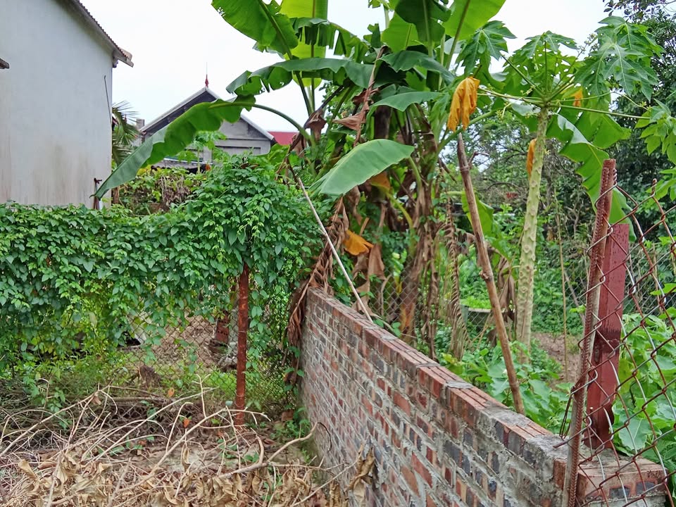 Đất thổ cư 3200m² tại Phú Cường, Tân Lạc - Giá chỉ 1.35 tỷ, thương lượng ngay!