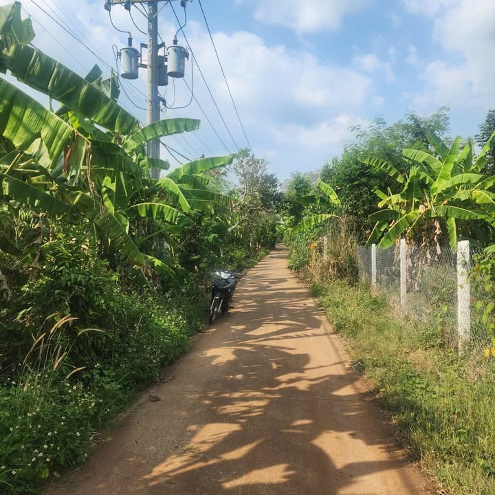 Đất nền Bàu Sen Long Khánh 600m² giá 820 triệu - Sổ đỏ chính chủ, thương lượng ngay!