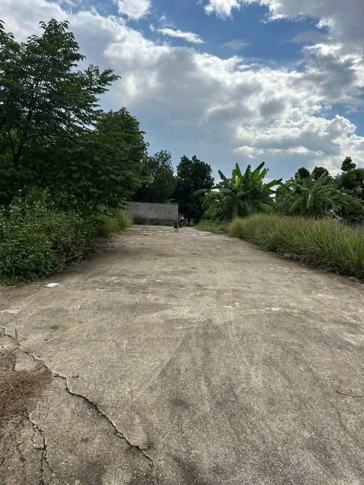 Đất nền Yên Mỹ Lạng Giang 131m² giá 550 triệu - Sổ đỏ chính chủ