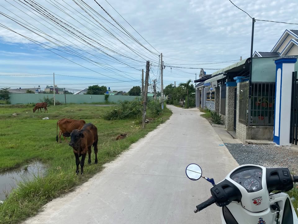 Đất nền 288m² mặt tiền đường Bê Tông, Đức Hòa, giá chỉ 2.999 tỷ - Vị trí đắc địa, cơ hội đầu tư!