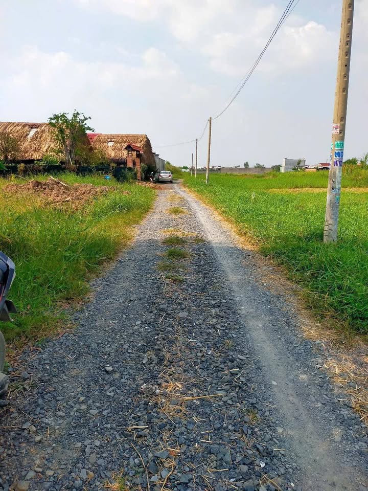 Đất nền Mỹ Hạnh, Đức Hòa 70m² giá chỉ 720 triệu - Sổ hồng chính chủ!