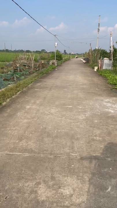 Đất nông nghiệp tại thôn Đình Tổ, Nguyễn Trãi 700.3m² giá 750 triệu - Cơ hội đầu tư hấp dẫn!