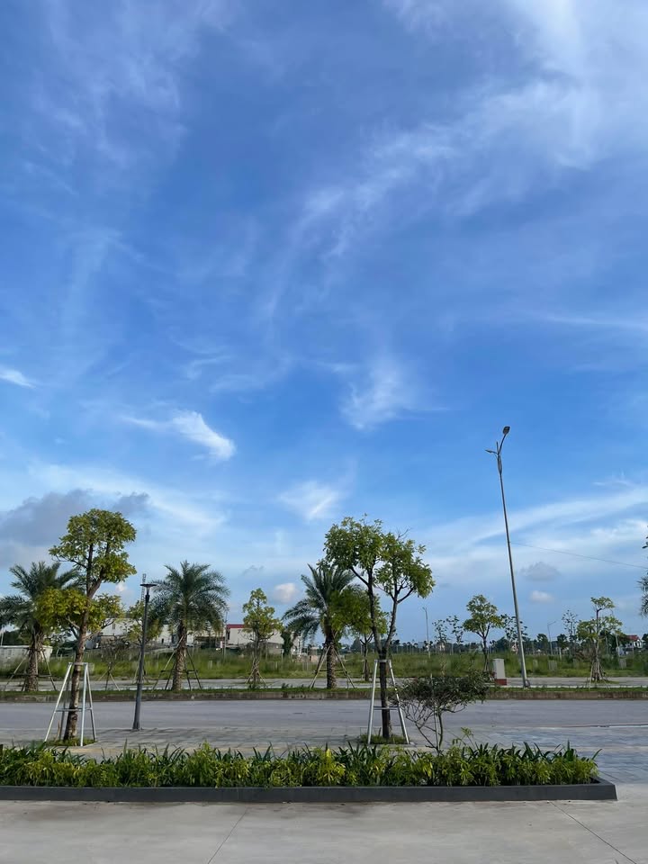 Đất dự án Vinaconex Hải Hòa Móng Cái 99m² - Tiềm năng đầu tư sinh lời!