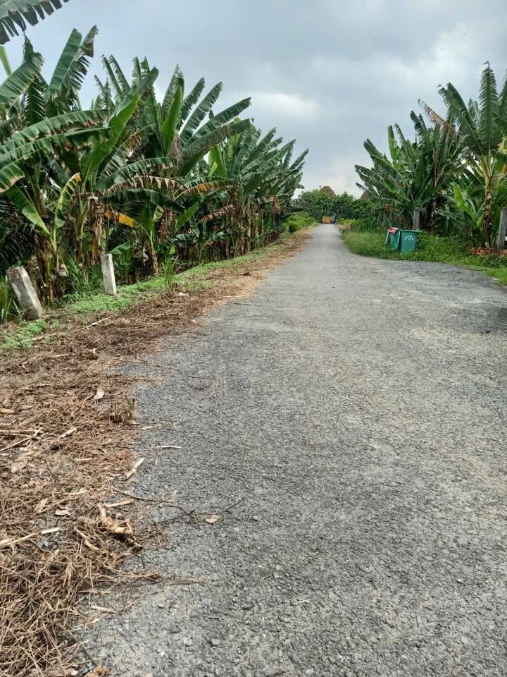 Đất ruộng xã Hoà Tịnh 11.000m² giá 6.5 tỷ - Chủ cần bán gấp!