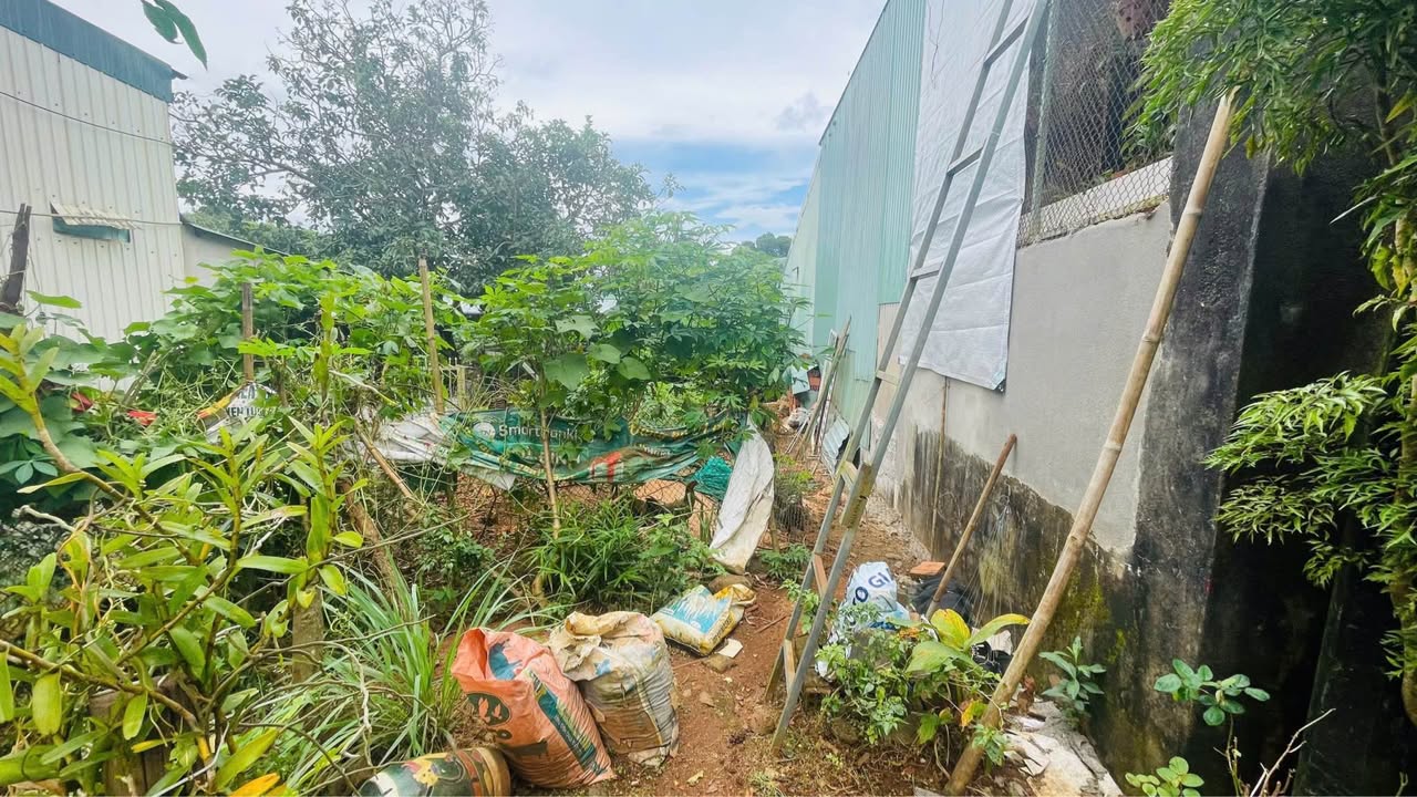 Đất nền Hẻm 376 Trường Chinh, Pleiku 50m² giá 700 triệu - Cơ hội đầu tư tuyệt vời!