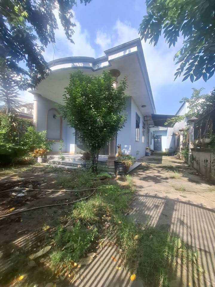 Nhà cho thuê phường Biên Hòa 300m² giá 5 triệu - Khu vực an ninh yên tĩnh