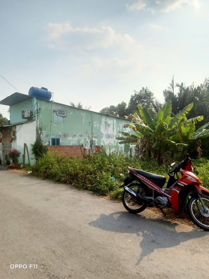 Đất mặt tiền đường nhựa Tân Kiên, Bình Chánh 127m² giá 550 triệu - Cơ hội đầu tư tuyệt vời!