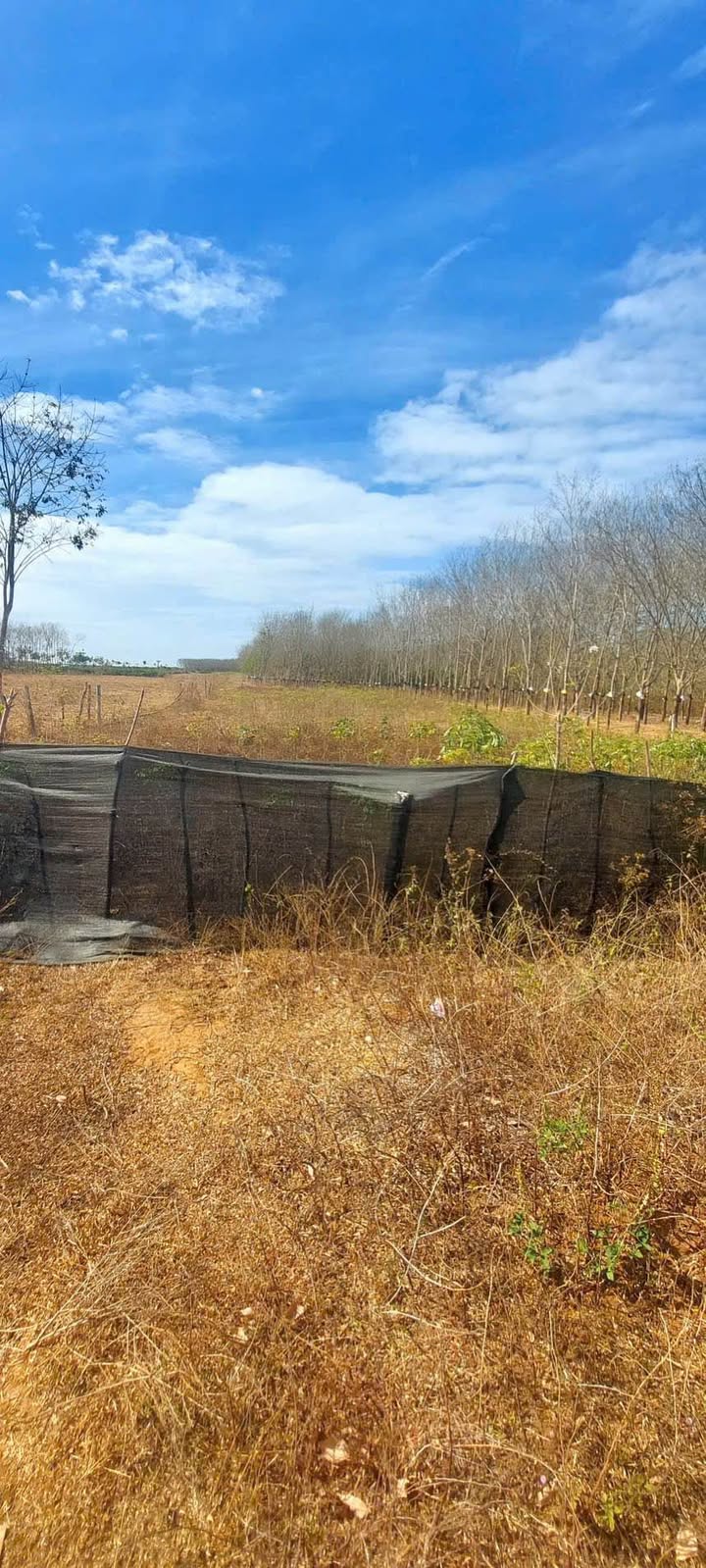 Đất nông nghiệp Đăk Năng, Kon Tum 2040m² giá 195 triệu - Cơ hội đầu tư tuyệt vời!