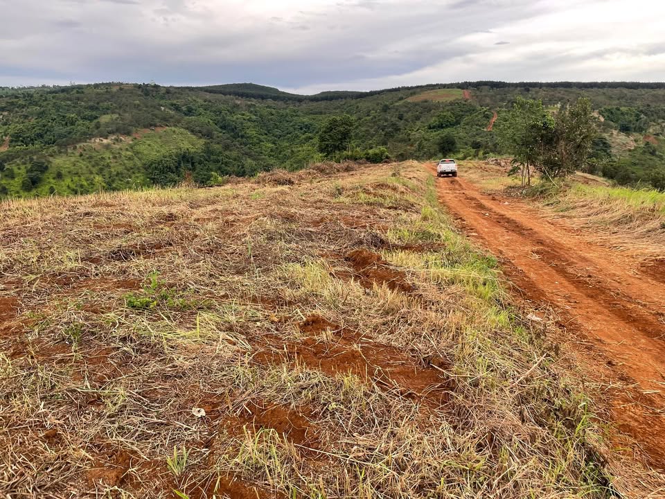 Đất trống 3,5ha tại Quảng Tân - Tuy Đức, giá 3,5 tỷ - Thế đất bằng phẳng, ô tô tận nơi!
