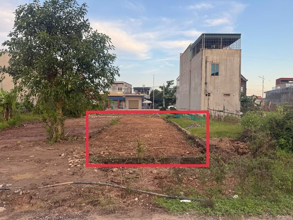 Đất nền Hoa Động - Thủy Nguyên 100m² giá 4.1 tỷ - Cơ hội đầu tư tuyệt vời!