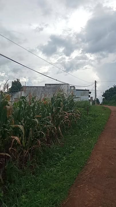 Đất nền Di Linh 1000m² giá 2 tỷ - View hồ Đông tuyệt đẹp!