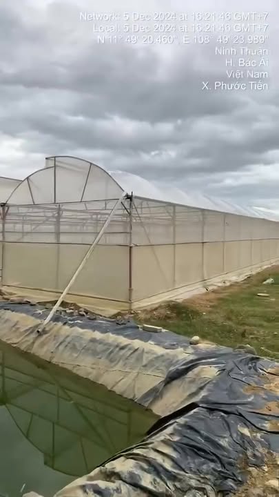 Đất Farm 3,8 sào tại Suối Đá, Phước Tiến - Giá chỉ 430 triệu