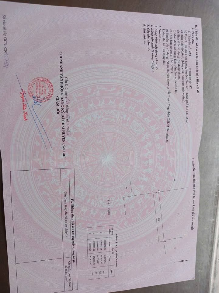 Đất nền An Thới Đông 1000m² giá 850 triệu - Sổ đỏ chính chủ, thương lượng