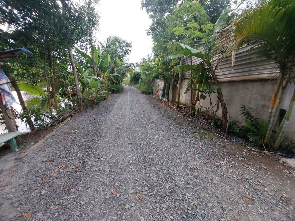 Đất nền Bến Lức 375m² giá 3.1 tỷ - Sổ hồng chính chủ, thương lượng tốt!