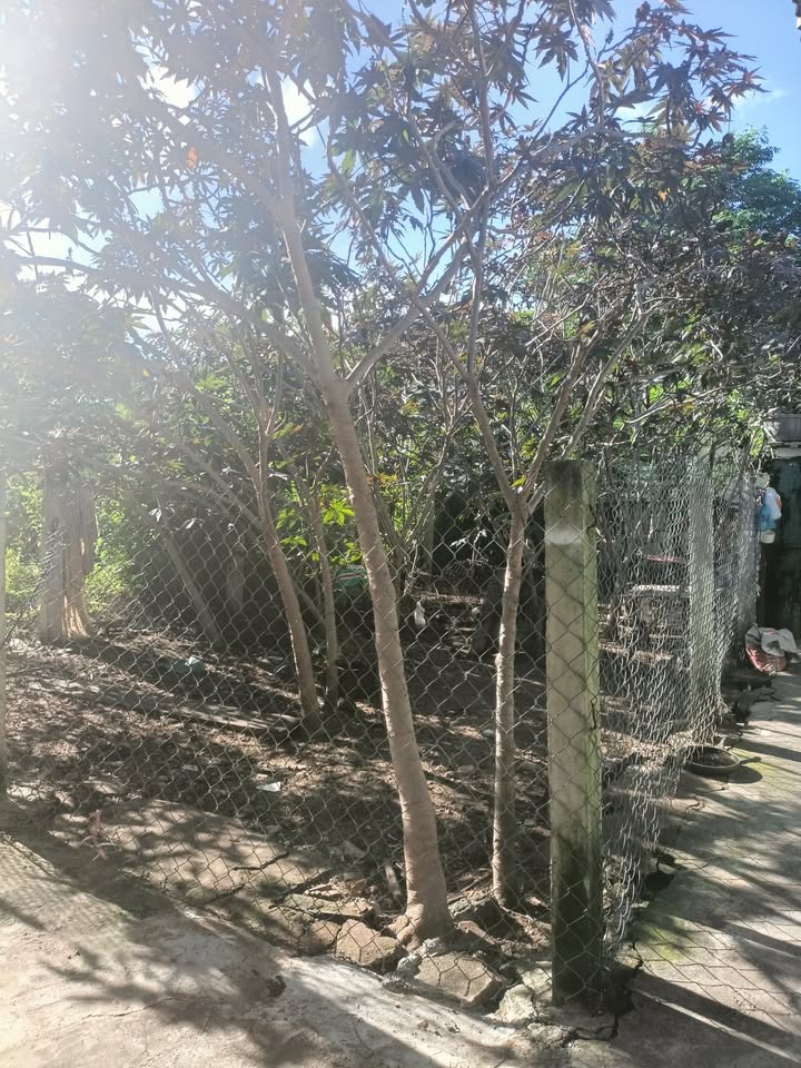 Đất nền Tuy Hoà 87m² giá 1.2 tỷ - Vị trí đắc địa gần trường học!