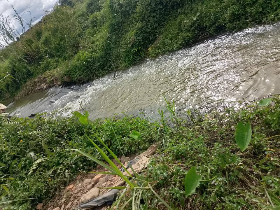 Đất nền Ninh Gia, Đức Trọng 1,4ha giá 5,04 tỷ - Sổ hồng chính chủ, vị trí đắc địa!