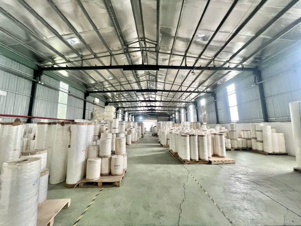 Nhà xưởng cho thuê 1.000m² tại Phú Chánh, Bình Dương - Giá chỉ 55 triệu/tháng!