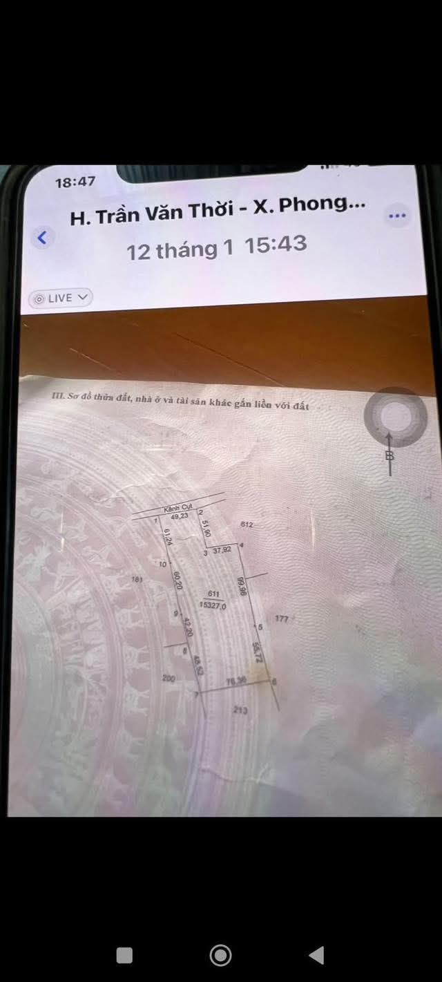 Đất nền 15.000m² tại Sông Đốc, Cà Mau - Giá chỉ 1,5 tỷ - Đầu tư sinh lời ngay!