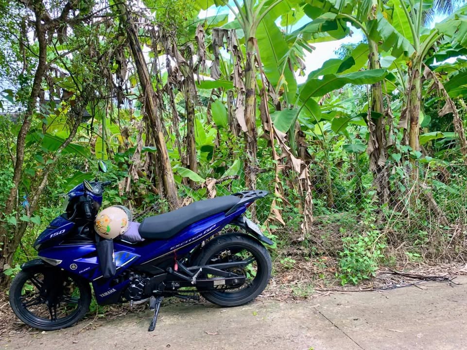 Đất nền Lý Văn Lâm Cà Mau 1330m² giá 1.68 tỷ - Mặt tiền Kênh 9 Viên, cơ hội đầu tư hấp dẫn!