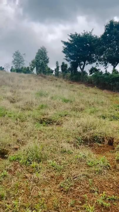 Đất nền Lộc Tân, Bảo Lâm 800m² giá 1.5 tỷ - Cơ hội hiếm có!