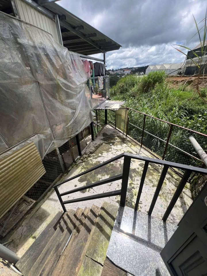 Nhà cho thuê Tô Vĩnh Diện P6 100m² giá 6 triệu - Hẻm ôtô, sân đậu riêng!