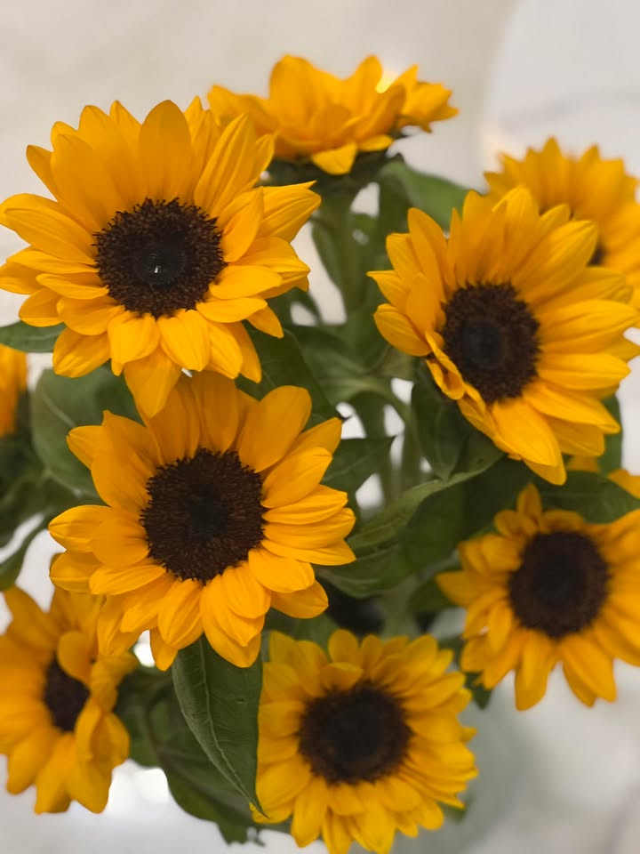 Mặt bằng cho thuê tại Đà Lạt, 6 triệu/tháng - Thích hợp ở và kinh doanh nhỏ