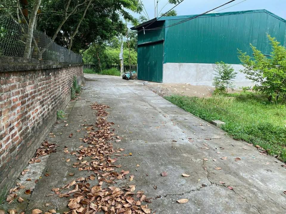 Đất nền Cổ Đông, Sơn Tây 110m² giá chỉ 500 triệu - Cơ hội đầu tư hấp dẫn!