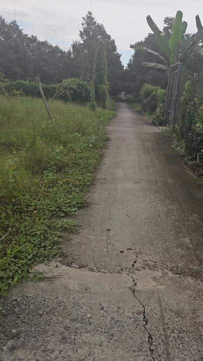 Đất mặt tiền Phú Cường, Cai Lậy 300m² giá 380 triệu - Sổ hồng chính chủ!