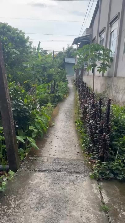 Nhà vườn 333m² tại Bình Thạnh, Cai Lậy chỉ 790 triệu - Giá tốt không thể bỏ lỡ!