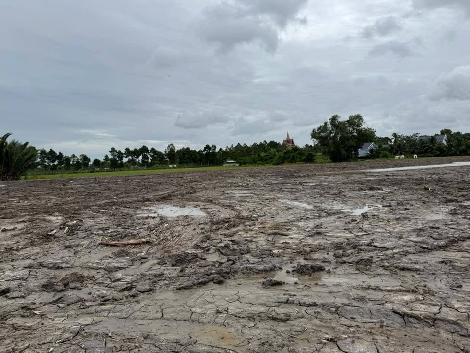 Đất vườn 12.000m² tại xã Châu Thành, Rạch Giá - Giá chỉ 2.4 tỷ, thích hợp làm trang trại!