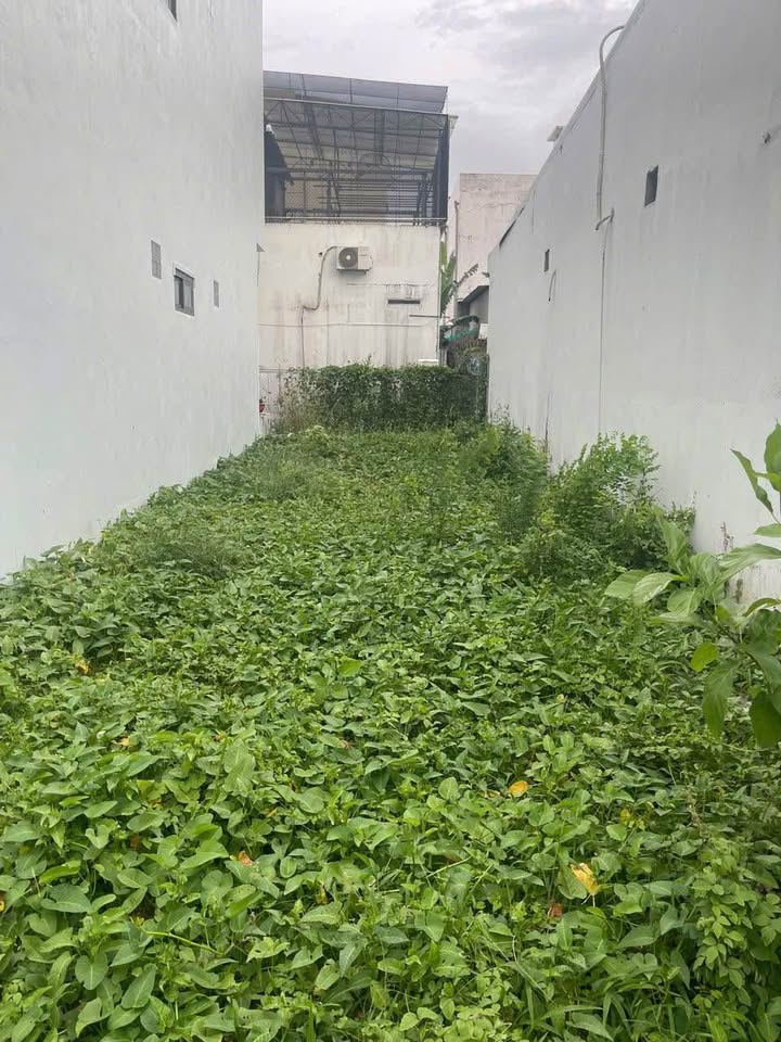 Đất nền đường 11 khu Bắc Hà Hoàng Hổ, An Giang 100m² - Sổ đỏ chính chủ