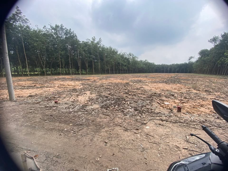 Đất nền 500m² Chánh Phú Hòa, Bến Cát - Đầu tư sinh lời ngay 1.1 tỷ