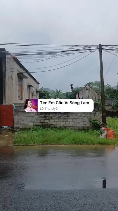 Đất nền thổ cư Quốc lộ 217, xã Cẩm Tân, 156m² giá 1.1 tỷ - Cơ hội đầu tư hấp dẫn!